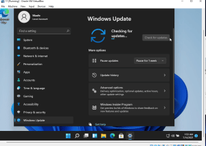 windows 11 updates view