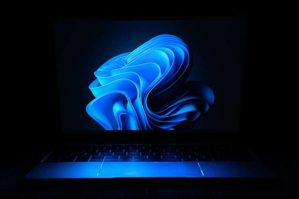 beautiful windows 11 display