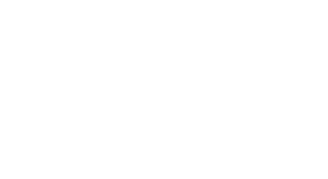 Make-a-Wish-Foundation_Logo